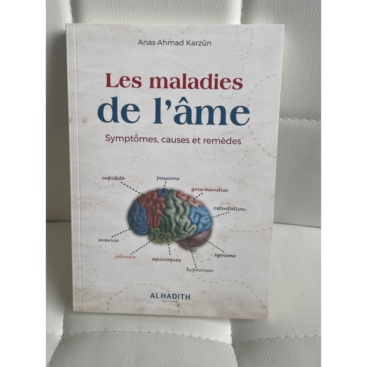 Les maladies de l’âme